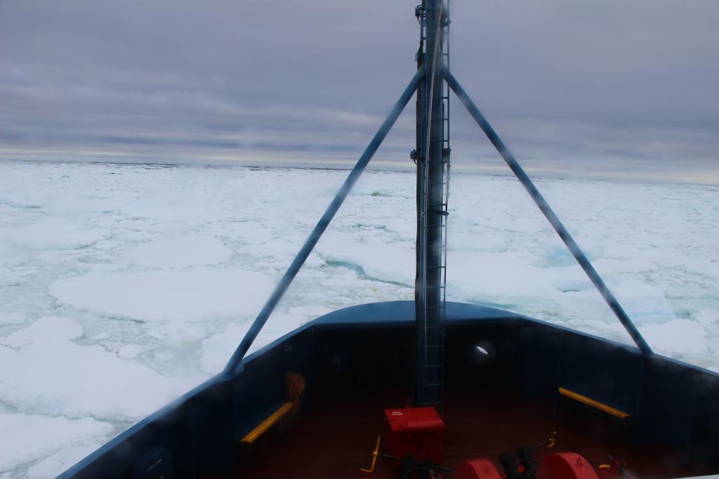 Quando la nave entra tra i ghiacci la navigazione è più tranquilla. Copyright PNRA.